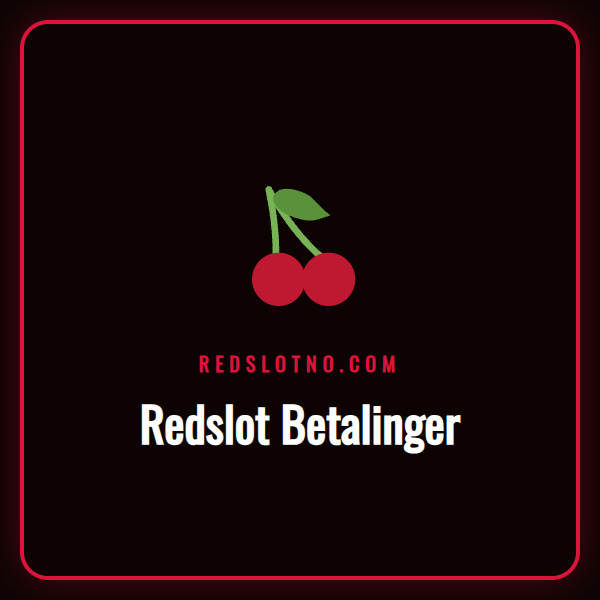 En person som bruker en bærbar datamaskin for Redslot betalinger.