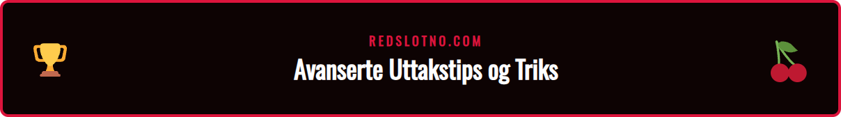 En infografikk som viser tips for en raskere Redslot utbetaling.