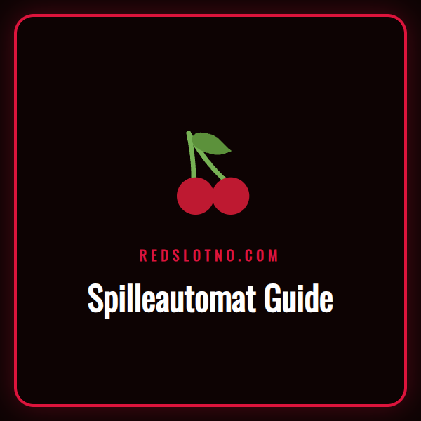 En detaljert infografikk som forklarer en spilleautomat guide for norske spillere på nett.